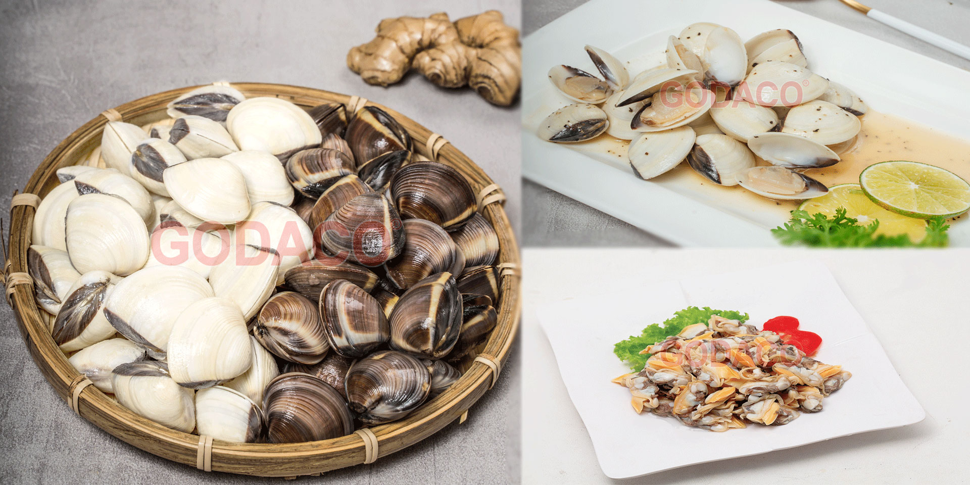 BRING THE ESSENCE OF THE MEKONG RIVER TO THE WORLD