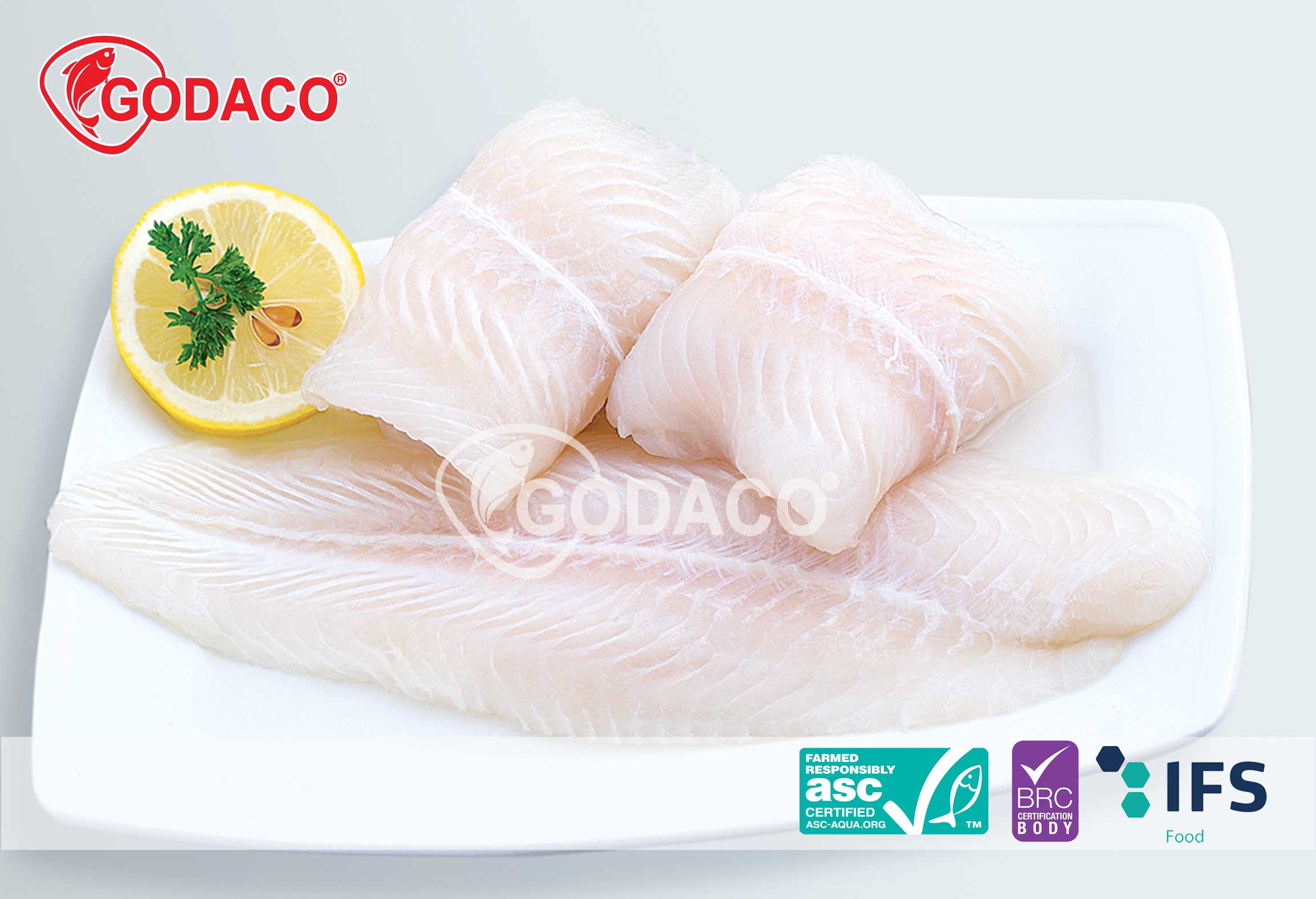 Pangasius Fillet Well-Trimmed