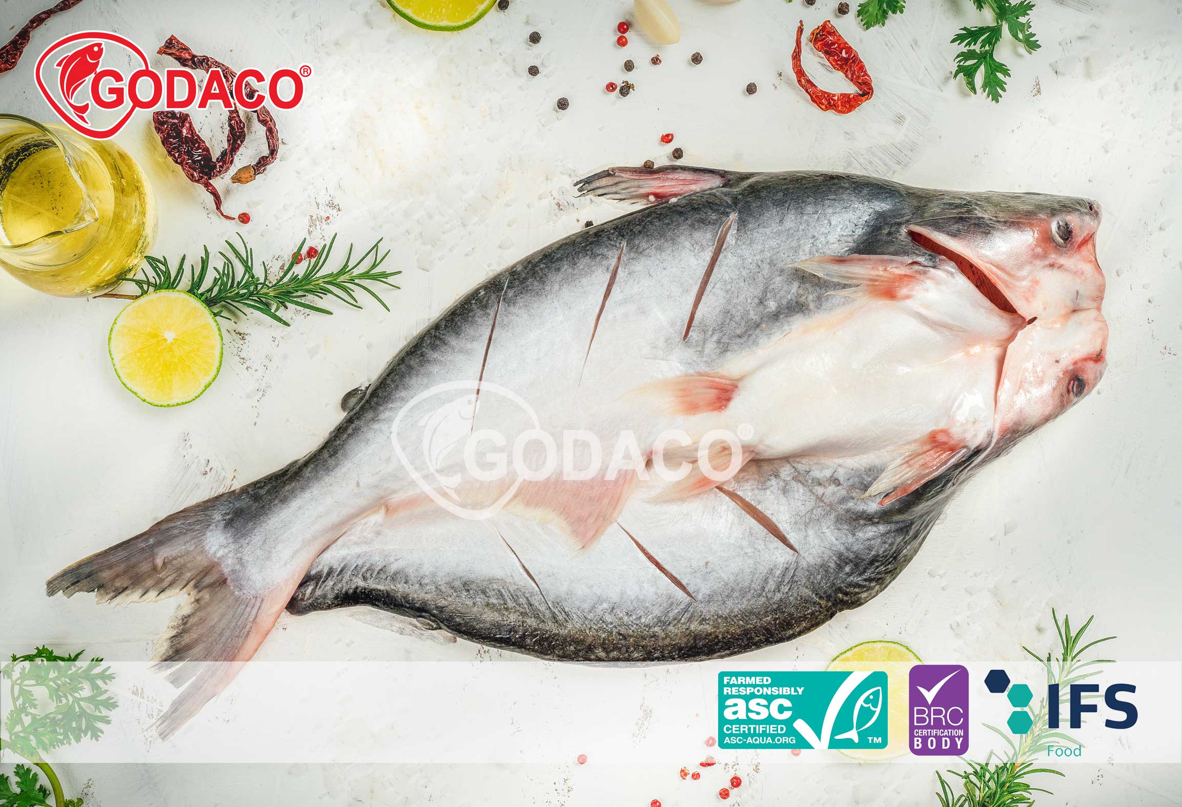 Pangasius Butterfly
