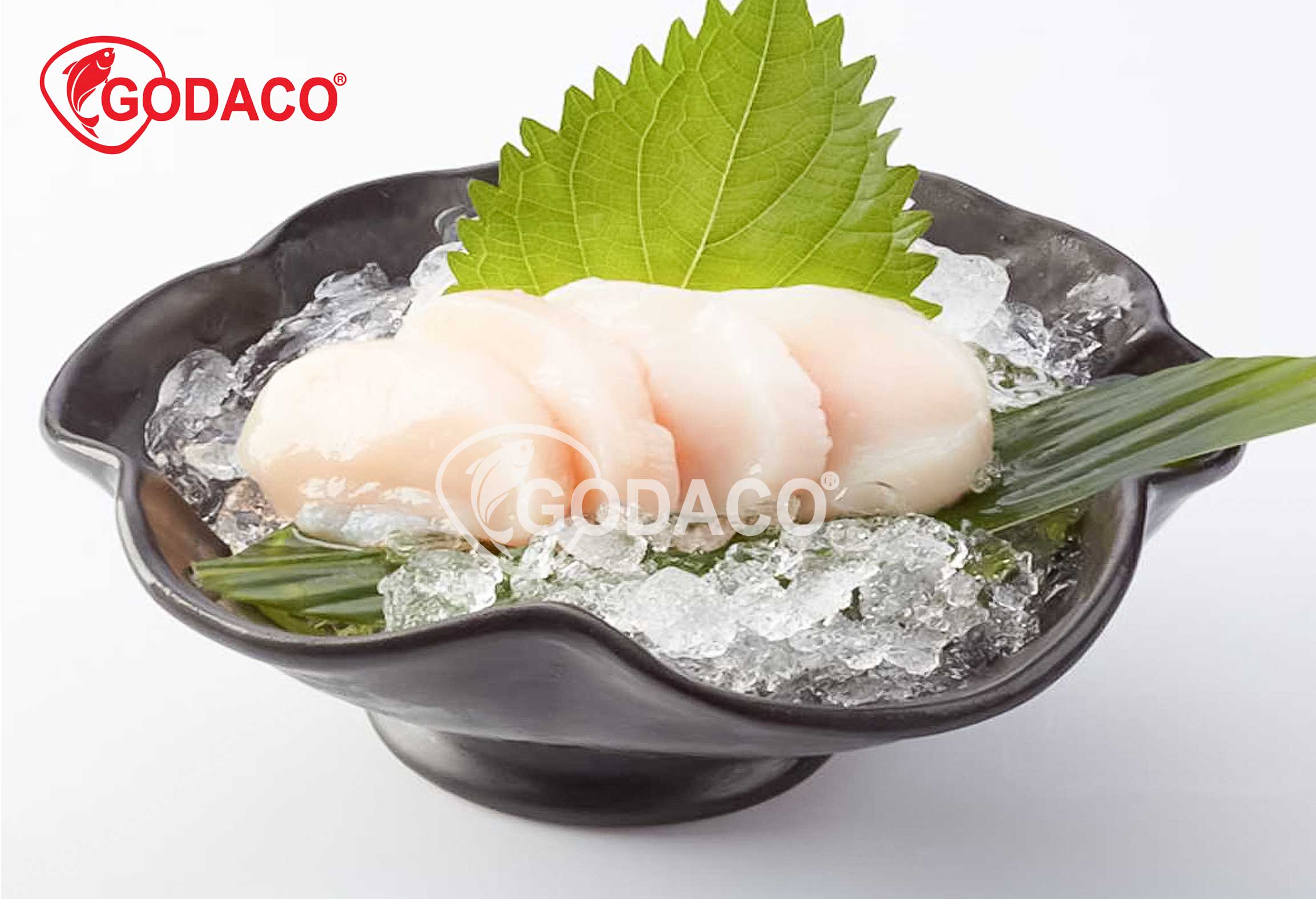 Sashimi-Grade Scallop Meat