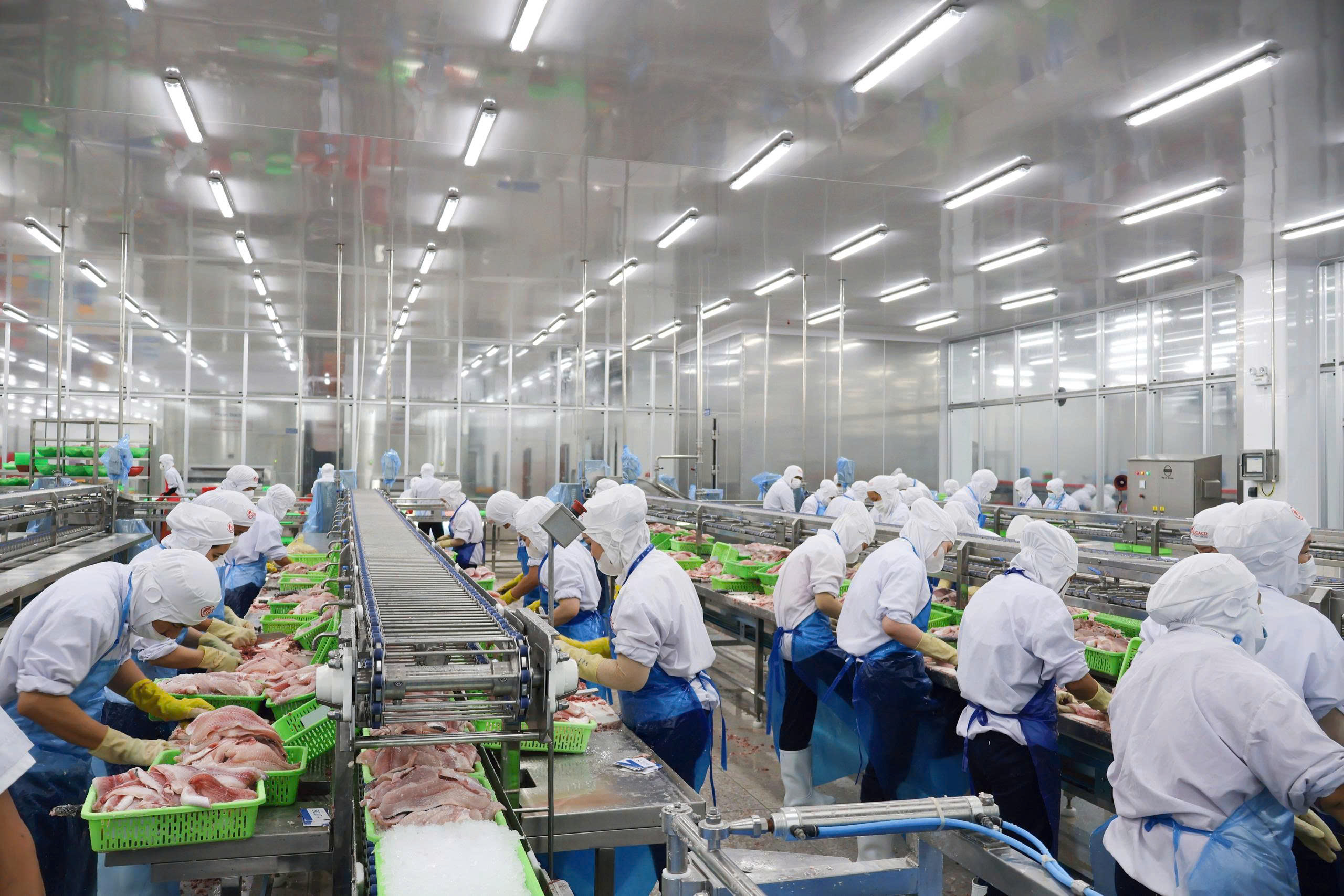 GODACO factory