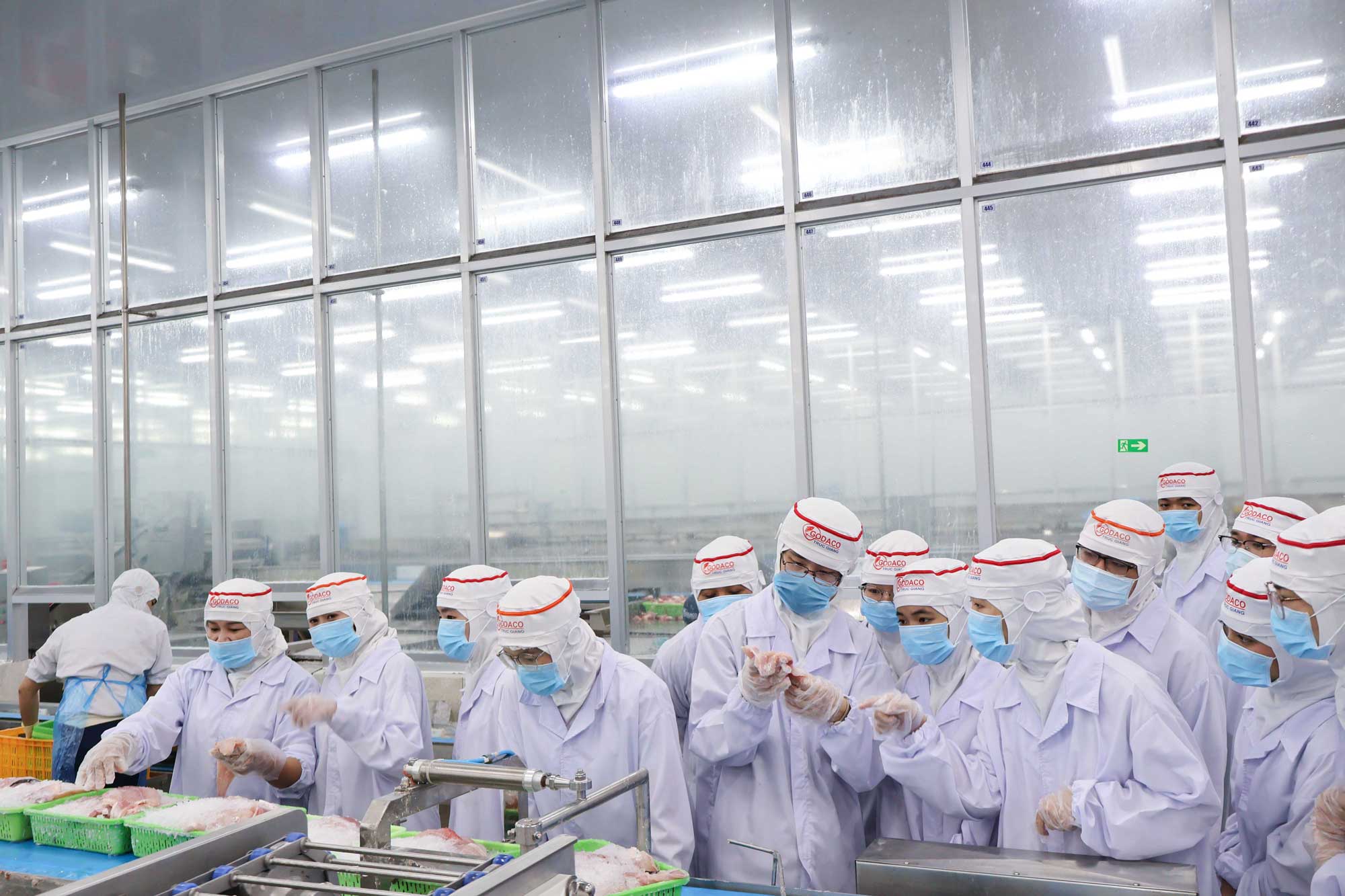 GODACO Scholarship Fund Organizes Farm and Factory Tour