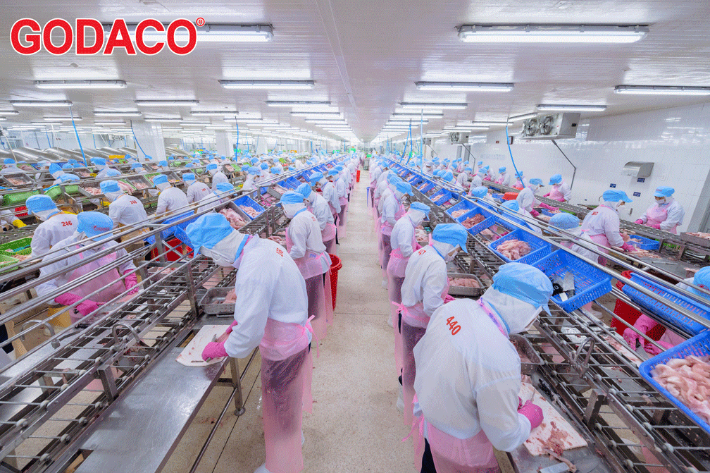 godaco-production-pangasius