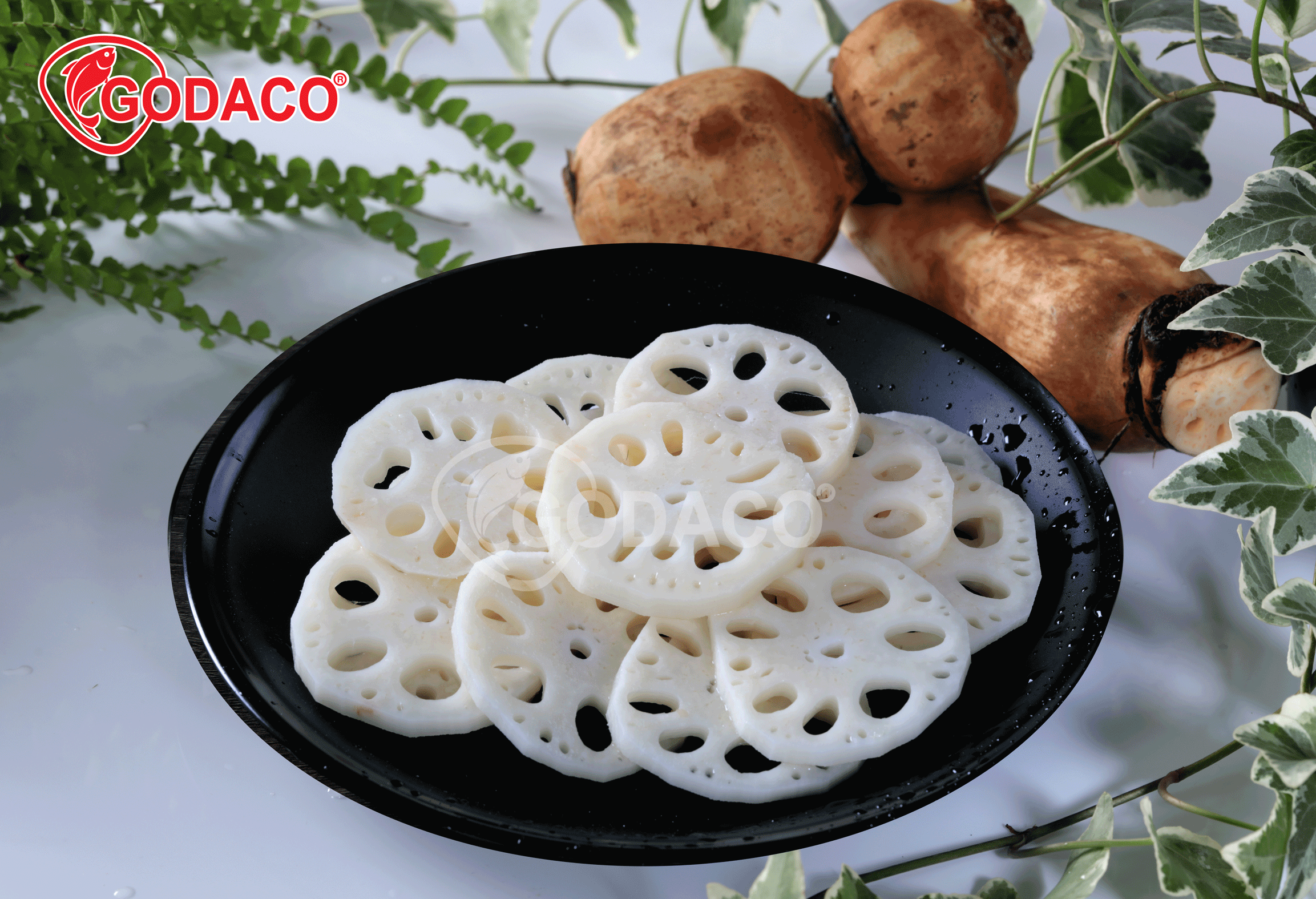 Lotus Roots