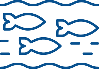 Aquaculture