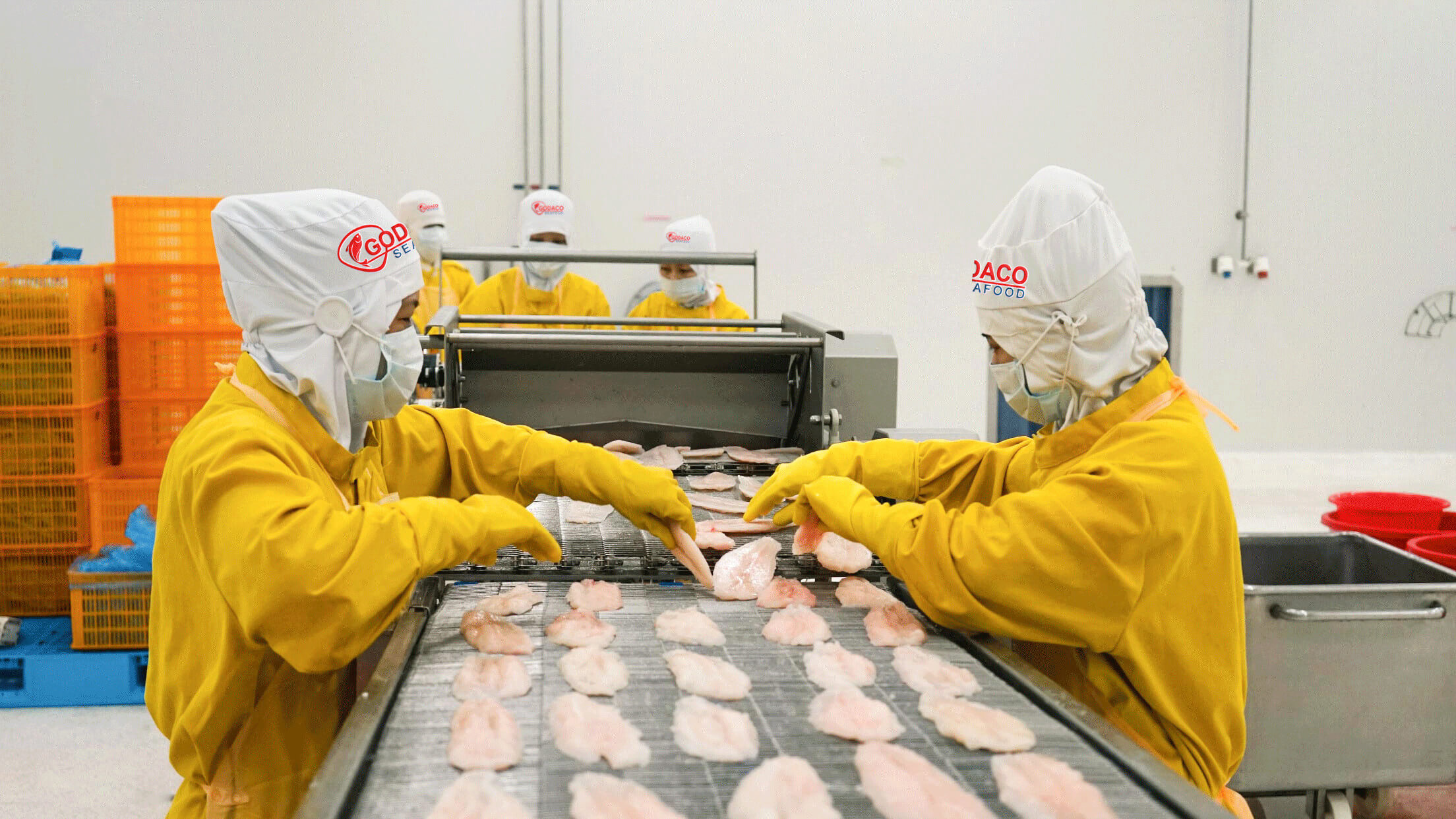 Processing & Cold Storage